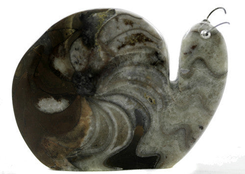 Zuni Snail Fetish