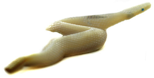 Zuni Rattlesnake Fetish