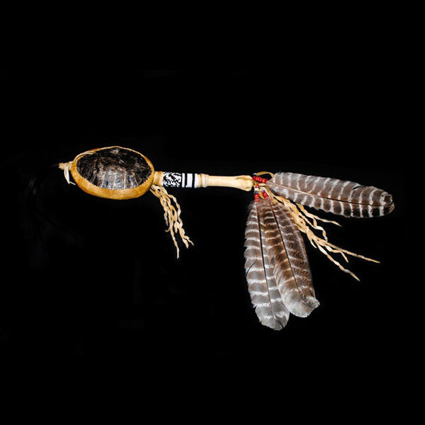 Turtle Rattle