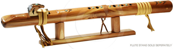 Odell Borg Cedar w/Turquoise Condor Bass in Key of D