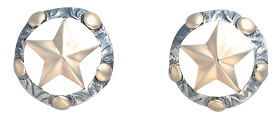 Star Earrings