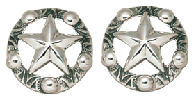 Star Earrings