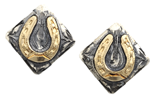 Horseshoe Earrings