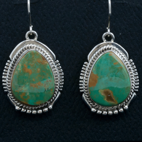 Aaron Toadlena Crow Springs Turquoise Silver Necklace Earring Set