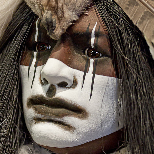 White Fang by Cindy Jo