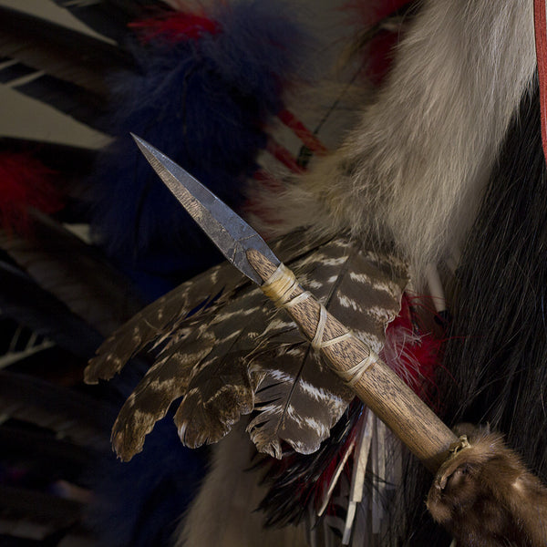 Coyote Dancer by Cindy Jo