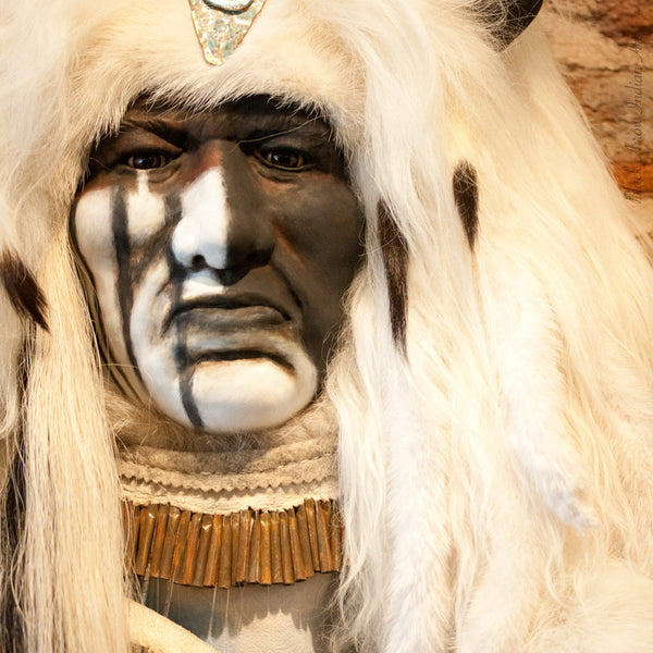 Great White Spirit II by Cindy Jo - 510AII