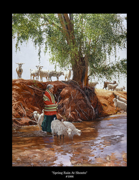 "Spring Rain At Shonto" by Ray Swanson