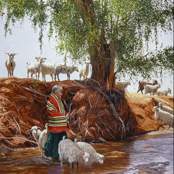 "Spring Rain At Shonto" by Ray Swanson