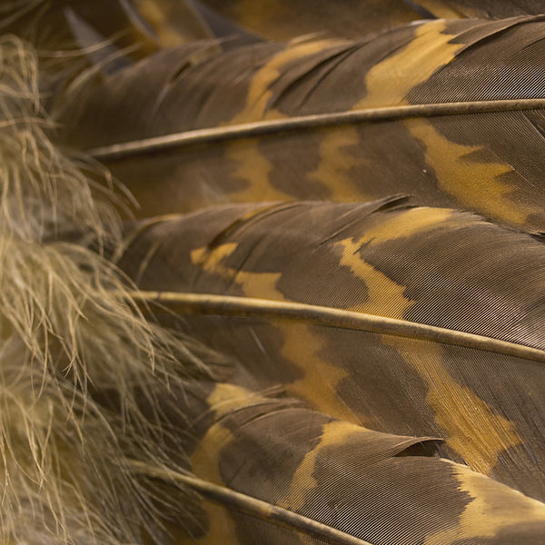 Halo Headdress by Russ Kruse_copy_1